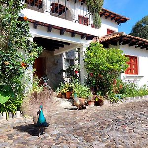 Hotel Y Jardines Casa Buho 안티구아 과테말라 Exterior photo