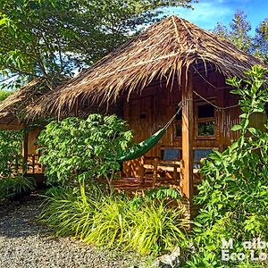 Moalboal Eco Lodge Exterior photo