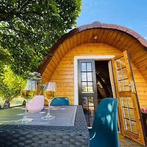 Corredoura The Gold Pod, Relax And Enjoy On A Glamping House 게스트하우스 Exterior photo