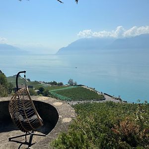 Panoramic Room In The Vineyard,Stunning Views Of Lake And Alps Puidoux Exterior photo