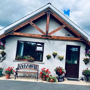 Cargagh Cottage Annacloy Exterior photo