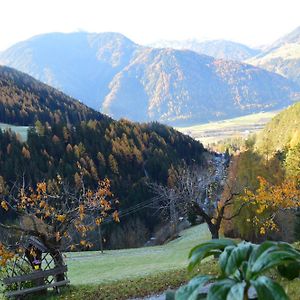 프라인펠트 Martlerhof Urlaub Auf Dem Bauernhof 아파트 Exterior photo