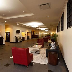 Clarion Hotel New Orleans - Airport & Conference Center 켄너 Exterior photo