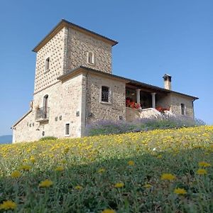 Gesualdo Agriturismo Torre Gialluise 빌라 Exterior photo