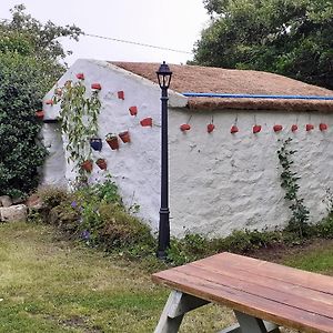 The Rockhouse - Cosy Stone Built Thatch Cottage 던글로 Exterior photo