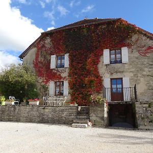 Château-Chalon Le Clos De L Amandier 빌라 Exterior photo