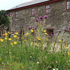 The Old Mill, Kilcorkey, Bellanagare, Castlerea, County Roscommon - West Of Ireland -House 1 빌라 Exterior photo