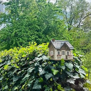 Cozy Private Home, 1 Acre Orchards Near Apple Hill 플레이서빌 Exterior photo