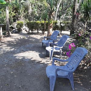 Santo Domingo Playa Casa Nohelia 아파트 Exterior photo