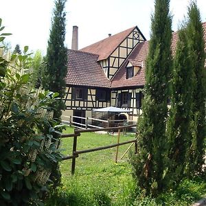 Domaine Du Moulin Im Elsass 호텔 Bischwiller Room photo