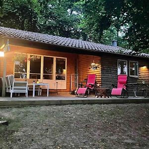 Gärsnäs Lonnekullen, Sommarstuga Mitt I Skogen Pa Osterlen 아파트 Exterior photo