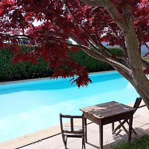 Mialet  Chambre D'Hote Dans Mas Proche Anduze Cevennes Avec Piscine B&B Exterior photo