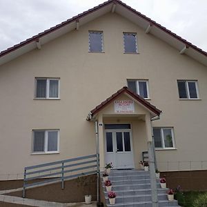 Casa Andrei Retezat 호텔 Haţeg Exterior photo