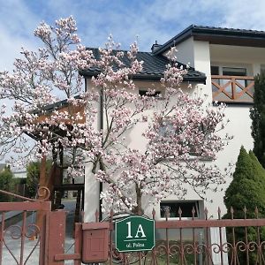 Sobolew Magnolia 아파트 Exterior photo