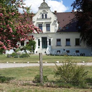 Hotel Pension Gutshaus Neu Wendorf 사니츠 Exterior photo