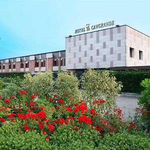 Hotel Cangrande Di Soave 소아베 Exterior photo