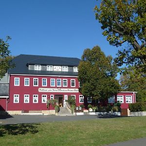 Zum Roten Hirsch Im Gruenen Wald 호텔 Saalfeld Saale Exterior photo