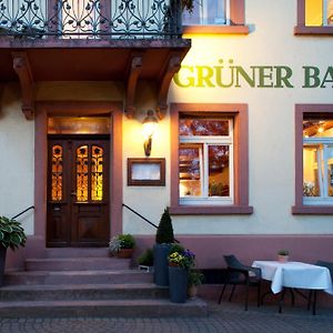 Hotel & Restaurant Gruener Baum Merzhausen 프라이부르크 임 브리스가우 Exterior photo