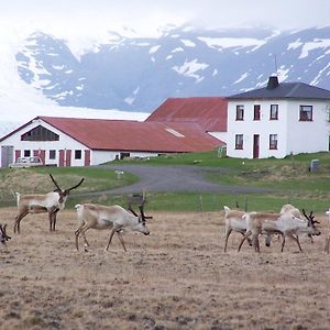 게스트하우스 홀뮈르 Hólmur Exterior photo