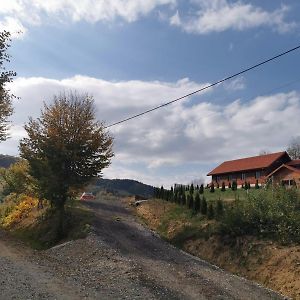 Cabana Valea Popii 호텔 Sita Buzăului Exterior photo