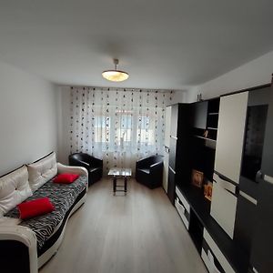Rîşnov Apartament Cezar 아파트 Exterior photo