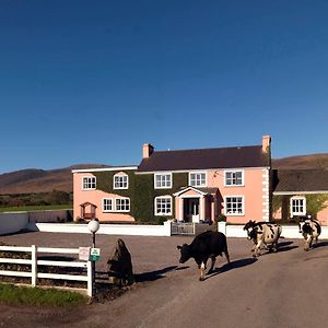 Murphys Farmhouse B&B 캐슬마인 Exterior photo