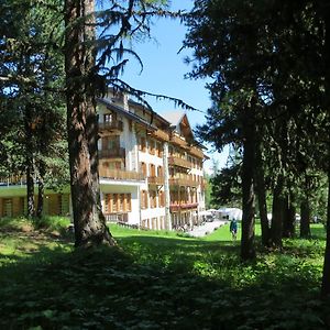 Grand Hotel & Kurhaus 아롤라 Exterior photo