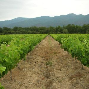 Domaine De Nidoleres 호텔 Tresserre Exterior photo