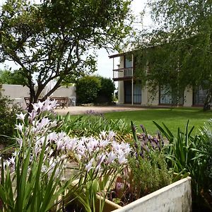 Coonawarra Motor Lodge 페놀라 Exterior photo