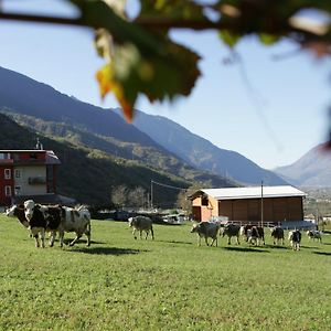 알보사기아 Agriturismo Stella Orobica 게스트하우스 Exterior photo