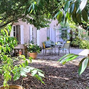 Châteauneuf-sur-Charente Gite Cosy Avec Jardin Clos, Terrasse Et Piscine A Proximite, Ideal Pour Famille Et Detente - Fr-1-653-254 빌라 Exterior photo