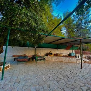 ‘Ajlūn Oak Farm مزرعة الملّول 게스트하우스 Exterior photo