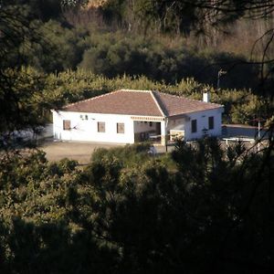 Casa Rural Alameda En Posadas Cordoba Exterior photo