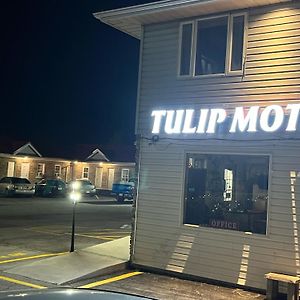 Tulip Motel 우드스턱 Exterior photo