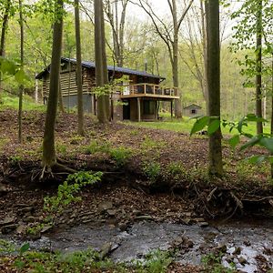 Secluded Naples Cabin With Deck And Stream Views 빌라 Exterior photo