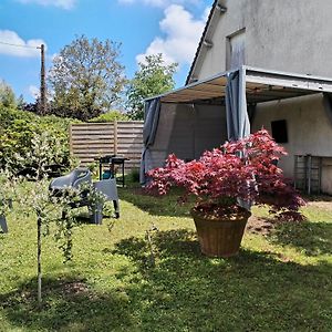 Muides-sur-Loire Sur La Route De Chambord 아파트 Exterior photo