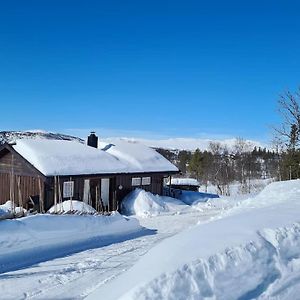 Skammestein Hytte I Naturskjonne Javnlie 빌라 Exterior photo