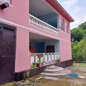 Ch'aisubani A House In Nature 빌라 Exterior photo