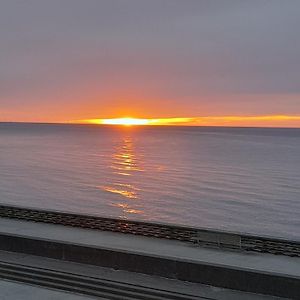 Vue Sur Mer " Villa Des Mouettes " Les Pieds Dans L Eau 뷸레트-쉬르-메르 Exterior photo