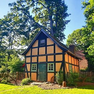 Rehden Auszeit Vom Alltag In Urigem Ferienhaus In Ruhiger, Idyllischer Natur Im Duemmer-Weserland 빌라 Exterior photo