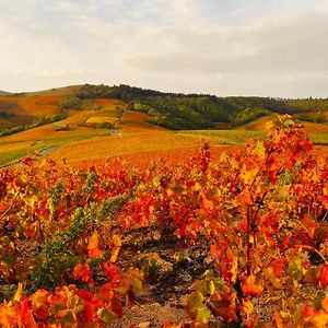 Le Panoramic Chiroubles Beaujolais 빌라 Exterior photo