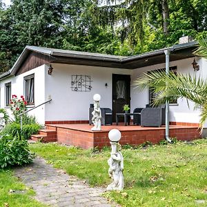 Haus Am See 코니그스부슈터하우젠 Exterior photo