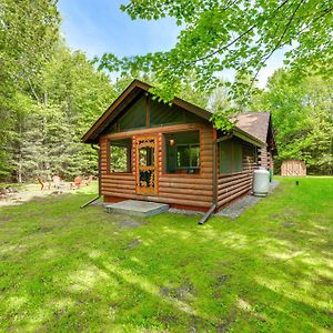 New Berlin  Cardinal Pines Cabin On 8 Acres - Dog Friendly! 빌라 Exterior photo
