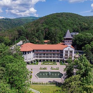 Verkhovyna Resort Medical & Wellness Kamenitsa Exterior photo