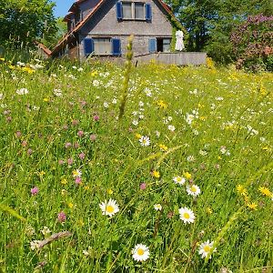 게르슈펠트 Rhoener Landhaus Mit Viel Flair 빌라 Exterior photo