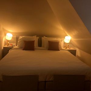 Bed And Breakfast De Haen - Prive-Appartementen Van 43 Of 60 M2 Met Tweepersoons Bubbelbad - Finse Sauna - In Westvleugel Van Luxe Villa 오스 Exterior photo