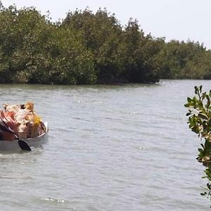 Sanyang Mangrove Beach B&B Exterior photo