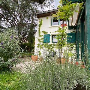 Chantenay-Saint-Imbert Les Feuilles Jaunes 빌라 Exterior photo