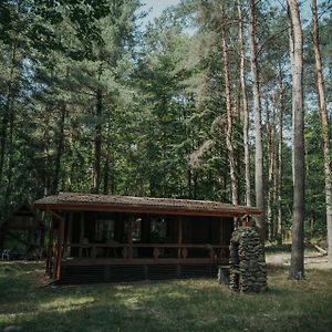 Wola Polska Forest Cabin - 50Min Od Warszawy 빌라 Exterior photo