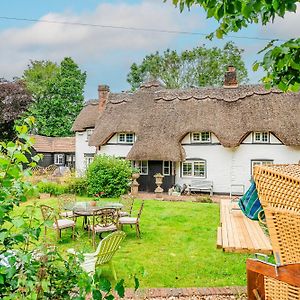 Entire Thatched Cottage In New Forest With Garden 캐드남 Exterior photo